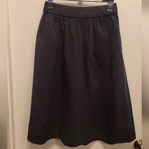 Everlane Black A-Line Skirt